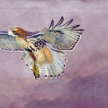 Oil painting of flying hawk on abstract purple background