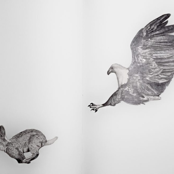 Pencil drawing of hawk chasing rabbit across sketchbook double page
